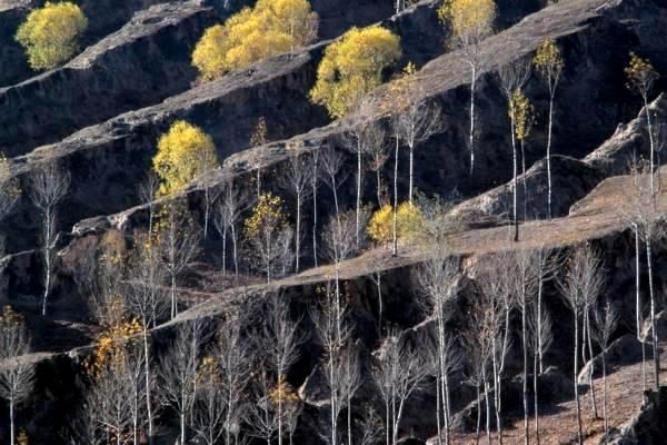 加强网络游戏管理 完善生活秩序 促进民族文化传承